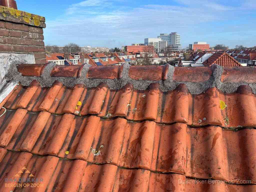 Bergenopzoom Daken Renoveren Bergenopzoom Daken Renoveren